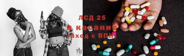 сатива Абинск