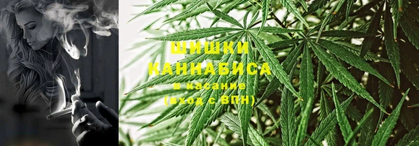 сатива Абинск