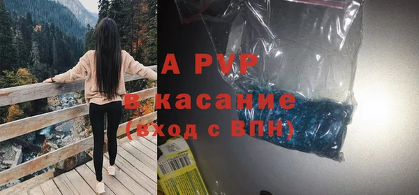 сатива Абинск