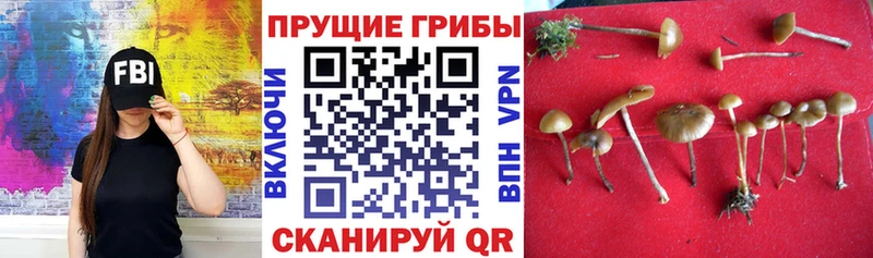 цены наркотик  Абинск  Галлюциногенные грибы мухоморы 